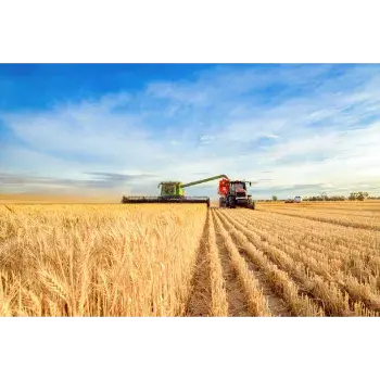 Wheat Kartar 4000 Maize Combine Harvester